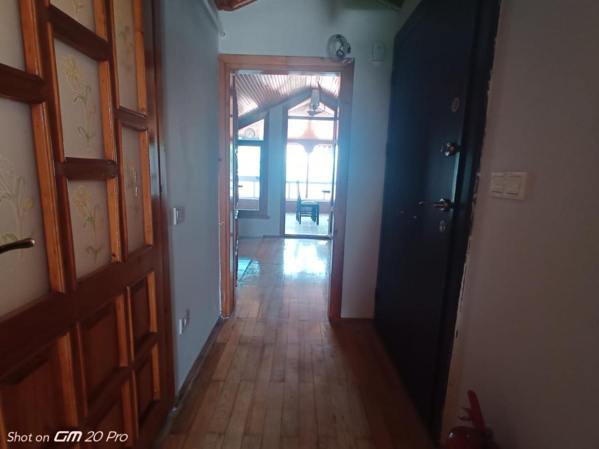 Buyukada Cinar Hotel (Adults Only) Adalar Exteriör bild